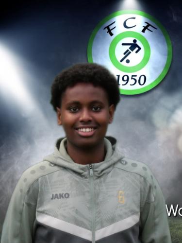 Jonathan Woldemicael