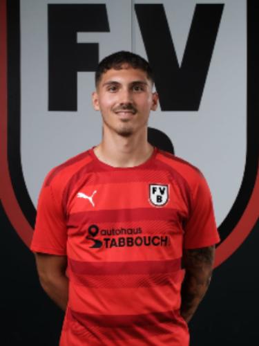 Louis Leonard Hartmann