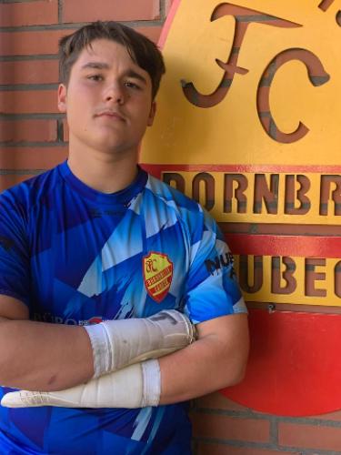 Wiktor Stanislaw Lesniewicz