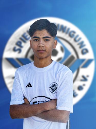 Samir Mostafawi