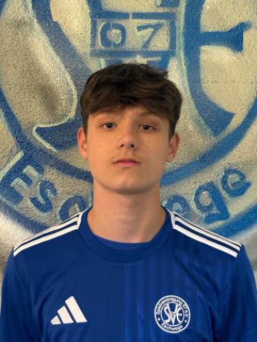 Niklas Gabriel Naumann