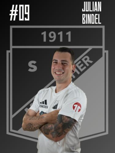 Julian Bindel