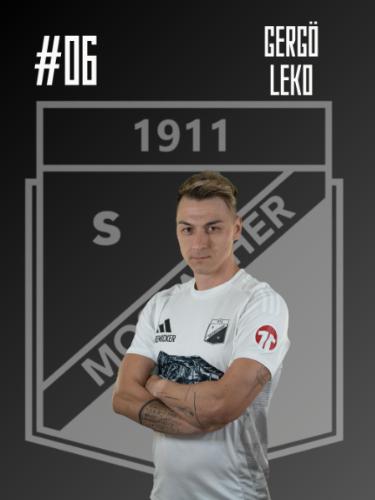 Gergö Tamas Leko