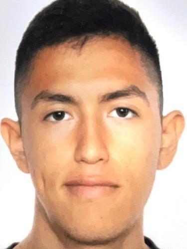 Luis Fernando Licona Lanza