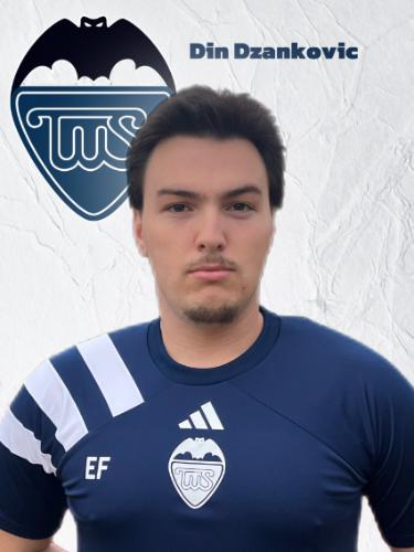Din Dzankovic