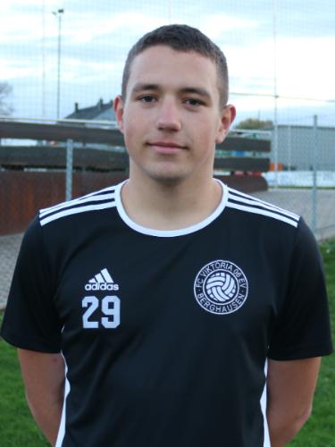 Valentin Aurel Teusan