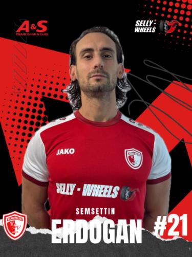 Mehmet Semsettin Erdogan