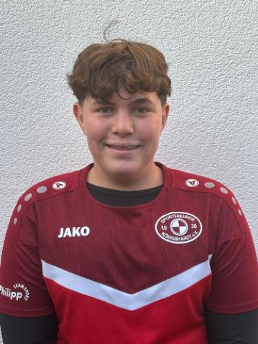 Theo Valentin Scholz