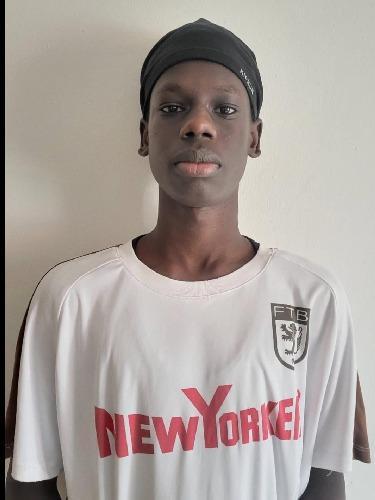 Mohamed Elfateh Awol