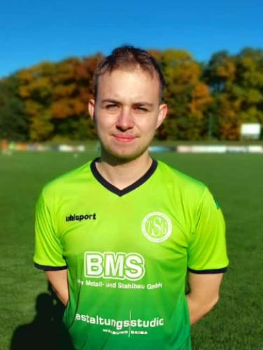 Theo Holger Werner Schlichting