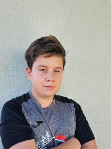 David-Maximilian Nosic