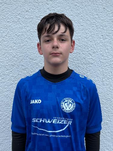 David-Mihaly Polecian