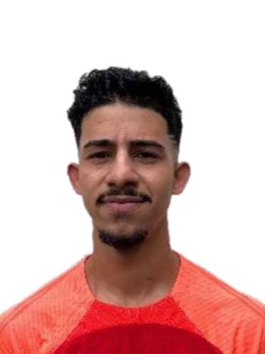 Narcis-Silvian Bolnavu