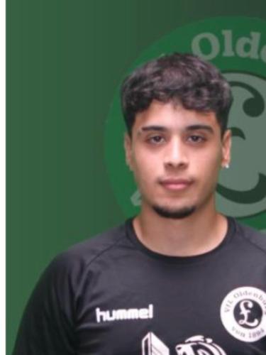 Ilia Nejatitaleshmikaeili