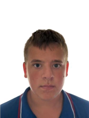 Beau Joannes Josephus Engelen