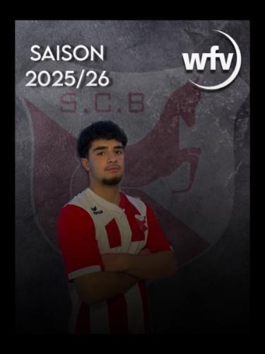 Walid Lahm Alajnji