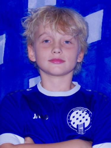 Karl Schulz-Linkholt