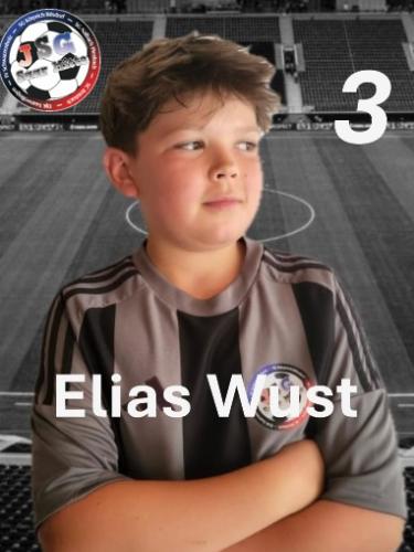 Elias Wust