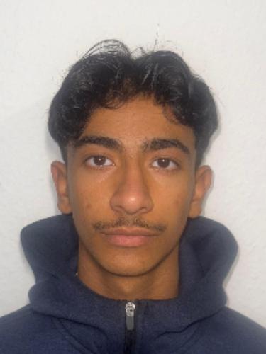 Mohammad Alibrahim