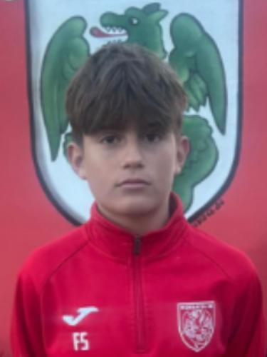 Finn Julian Schwerling