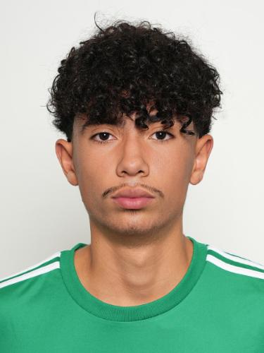 Pedro Antunes Goncalves