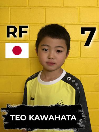 Teo Kawahata
