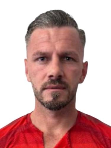 Amir Arnautovic