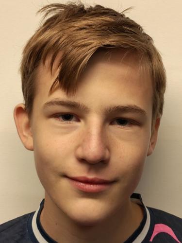 Hendrik Maier
