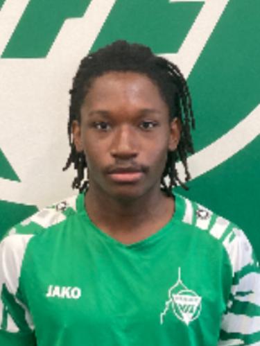 Jesse Obinna Odionye
