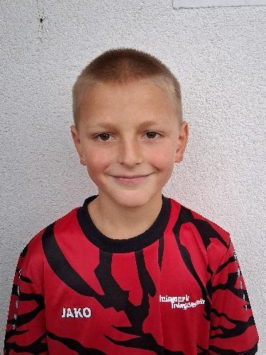Karl Alwin Heimann