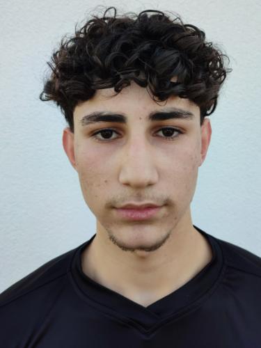 Aland Jihad Hassan Al-Shamo