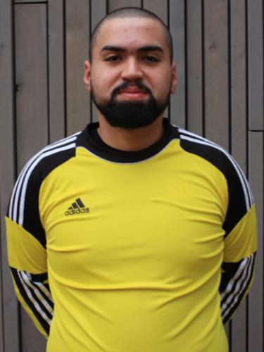 Semih Furhan Dasdemir