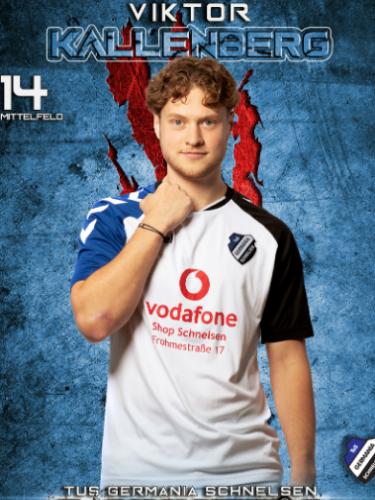 Viktor Lee Kallenberg