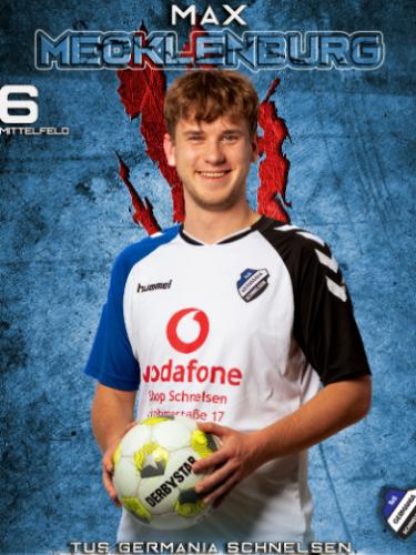 Max Mecklenburg