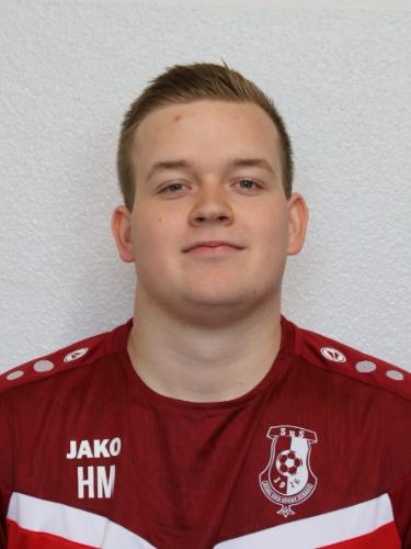 Henrik Christoph Julius Meertz
