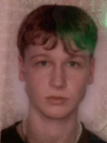 Patrick Alexander Dahl