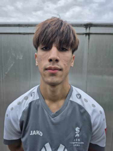 Mohammad Mustafa Eisapour