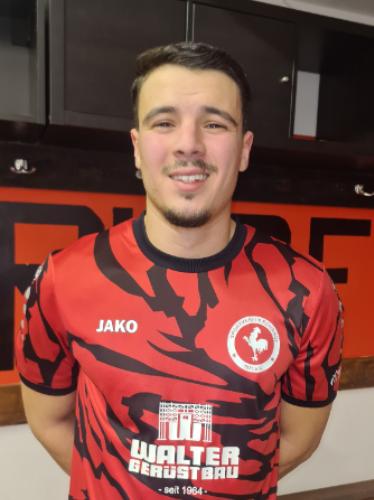 Milan Petrovic