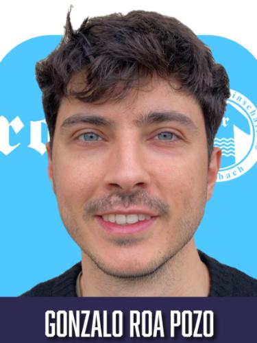 Gonzalo Roa Pozo