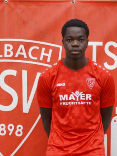 Shawn Travis Ogayo