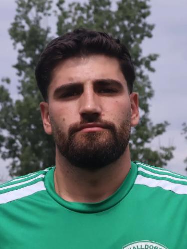 Adin Hajdarbegovic