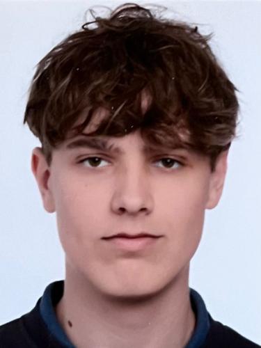 Henrik Ole Thies
