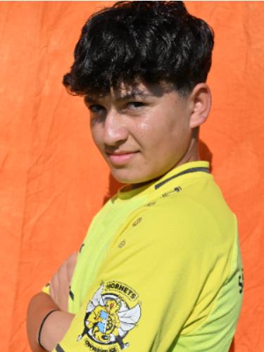 Mohammad Mustafa Wahedi