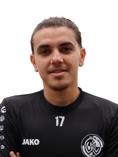 Mohammad Reza Zareeian