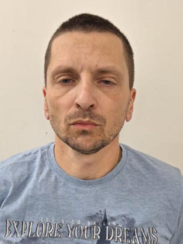 Miroslav Vlaisavljevic