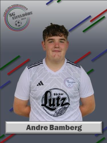Andre Bamberg