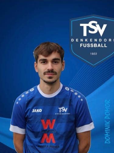 Dominik Pomor