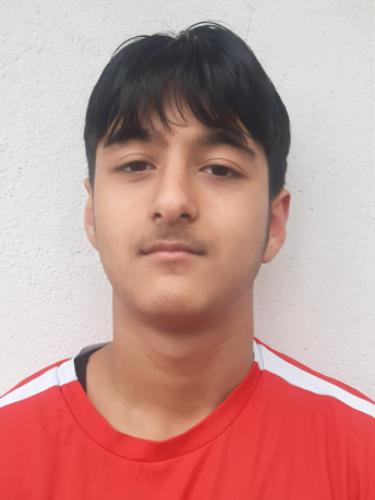 Taha Hanifi Özyürek