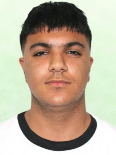 Delzan Mahmoud
