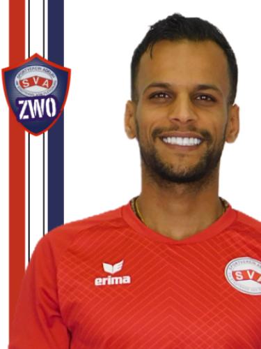 Hamed Zeneyedpour